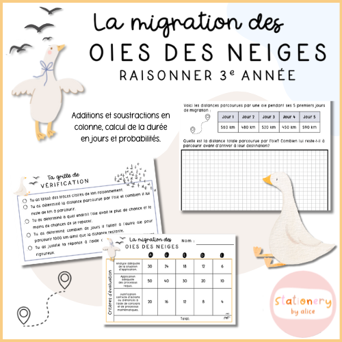 Raisonner : La migration des oies des neiges