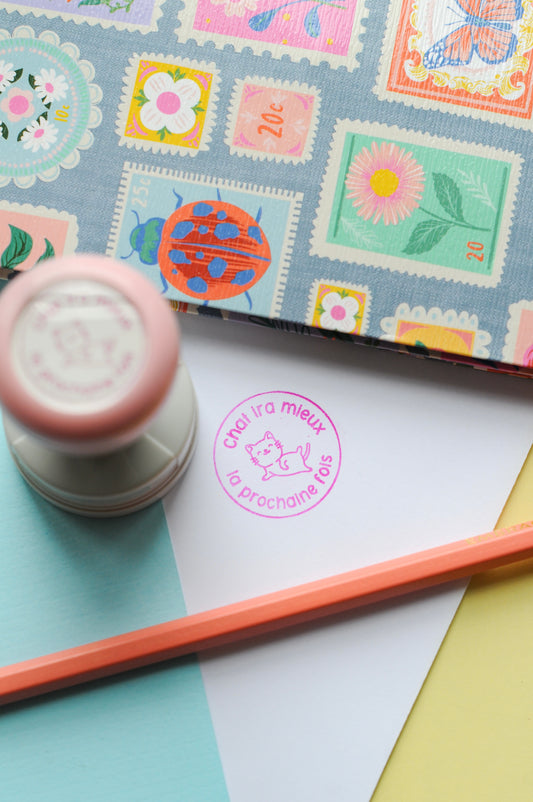 Chat ira mieux la prochaine fois