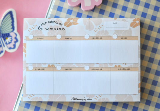 Mon tutorat de la semaine