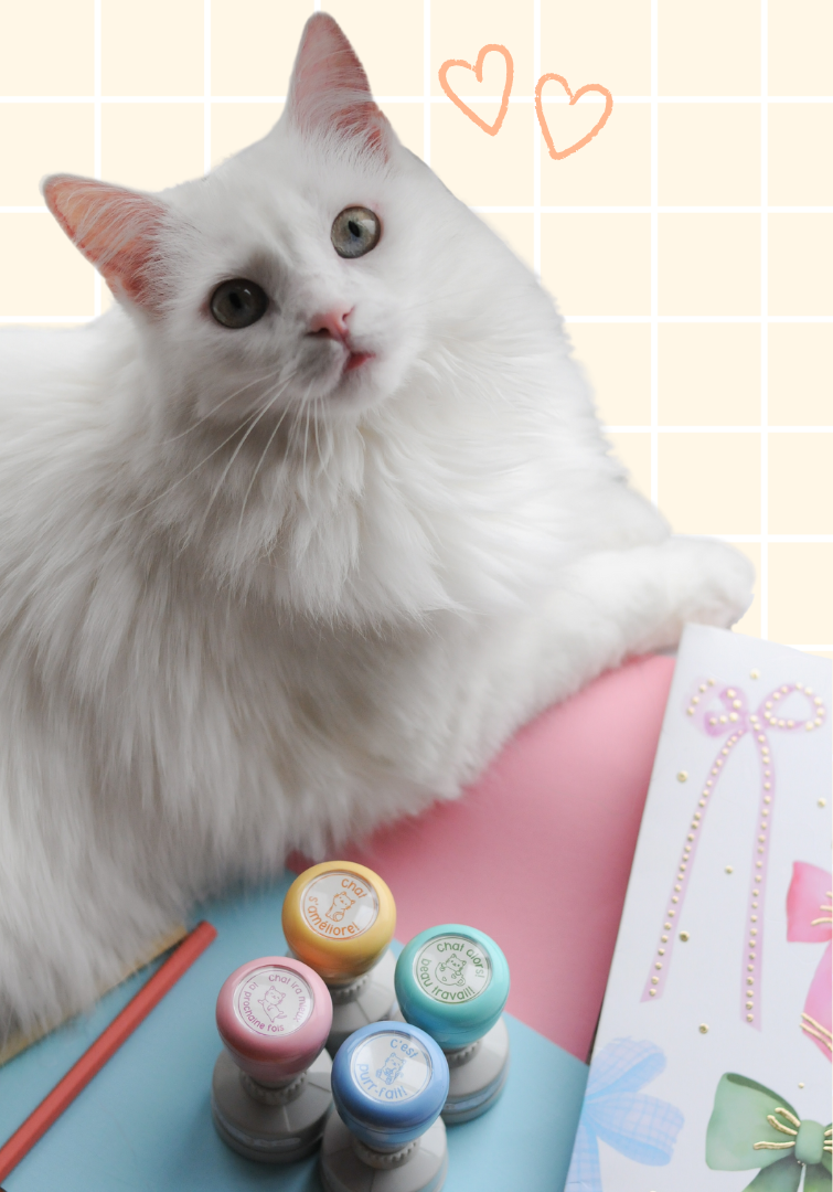 Les miaou-tivations!
