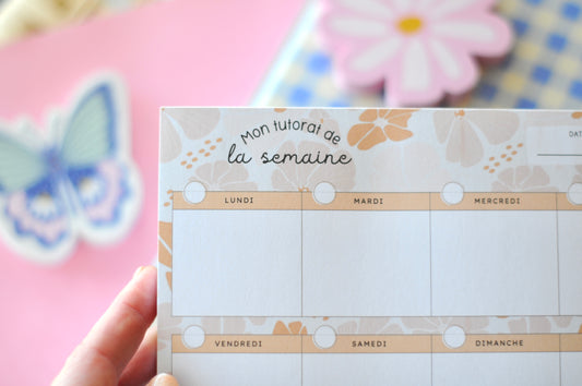 Mon tutorat de la semaine