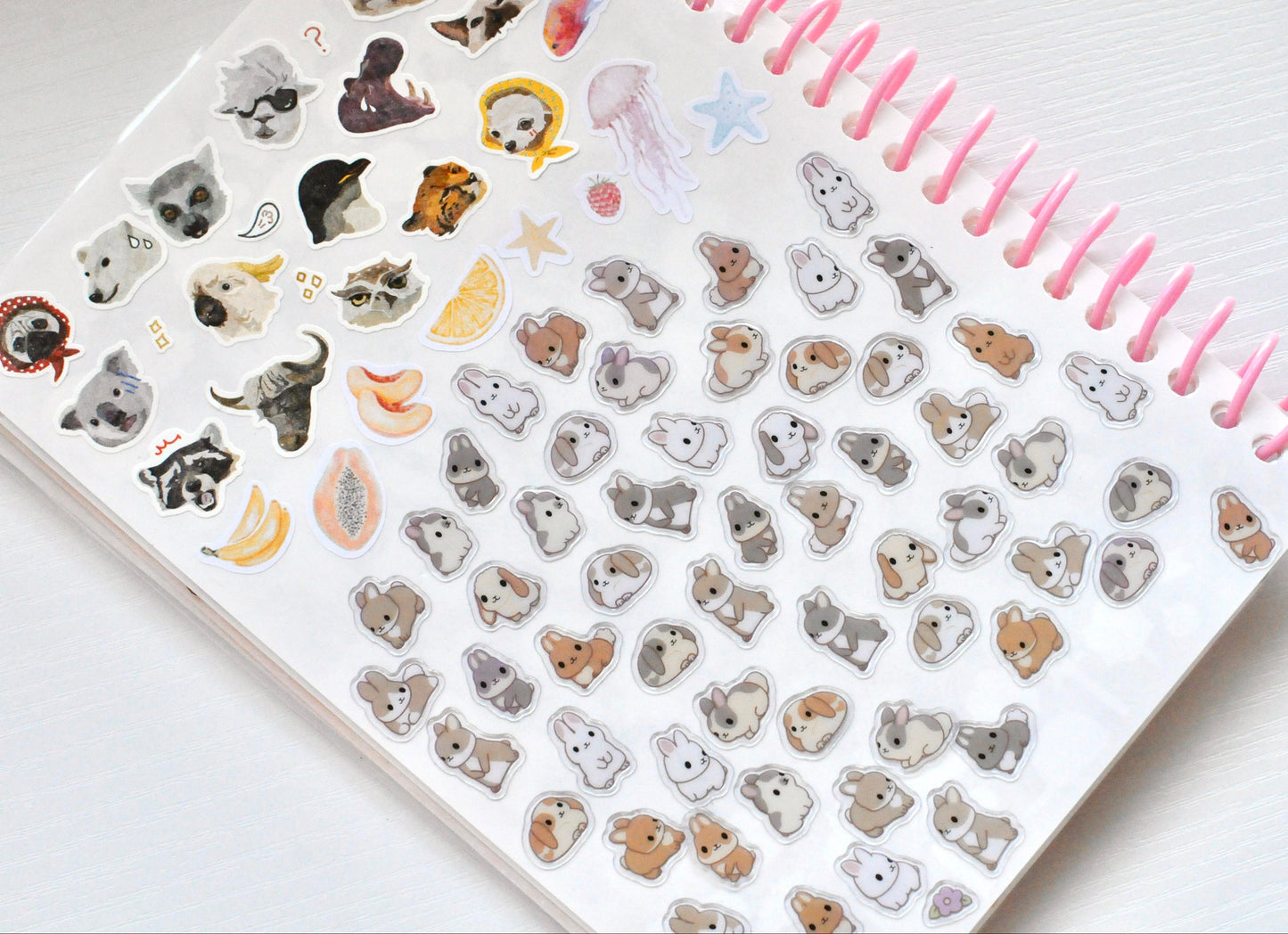 Ma petite collection de stickers - Album à autocollants