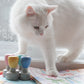 Les miaou-tivations!