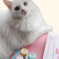 Les miaou-tivations!